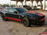 mustang_matte_g25_1