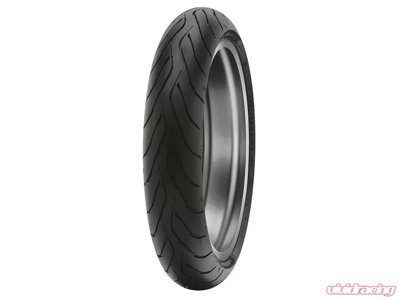 Dunlop Roadsmart Iv Front Tire 160 60zr17 69w Tl